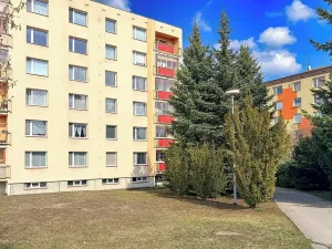 Prodej bytu 3+1, Žamberk, Pionýrů, 70 m2