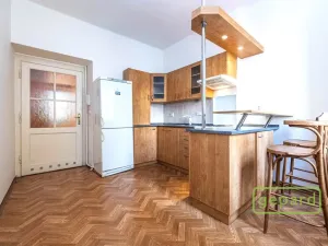 Prodej bytu 1+1, Praha - Nusle, V Horkách, 44 m2