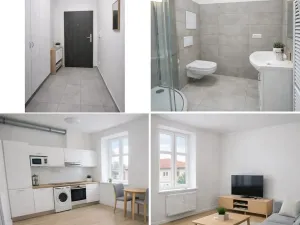 Pronájem bytu 1+kk, Brno, Mathonova, 22 m2