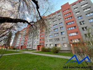 Pronájem bytu 1+1, Karviná, Borovského, 42 m2