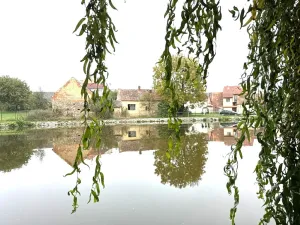 Prodej chalupy, Sedlice, 80 m2