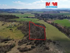 Prodej lesa, Obytce, 20042 m2