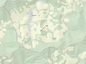 Dražba lesa, Zděchov, 2428 m2