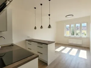 Pronájem bytu 3+kk, Praha - Podolí, Jeremenkova, 53 m2