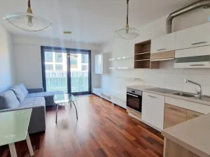 Pronájem bytu 2+kk, Praha - Žižkov, Olšanská, 55 m2