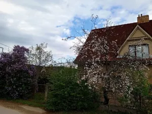 Prodej rodinného domu, Měchenice, 240 m2