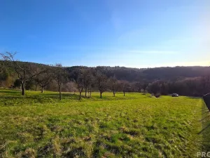 Prodej zahrady, Vyškov, 558 m2