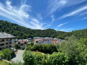 Prodej bytu 2+1, Karlovy Vary, Nebozízek, 62 m2
