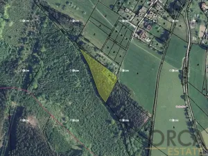Prodej podílu lesa, Ústí nad Orlicí, 2174 m2