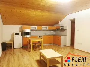 Pronájem bytu 1+kk, Frýdek-Místek, Hluboká, 51 m2