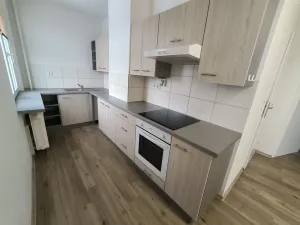 Pronájem bytu 2+1, Ústí nad Labem, Hornická, 55 m2