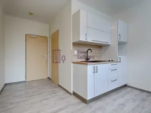 Pronájem bytu 1+kk, Jindřichův Hradec - Jindřichův Hradec III, sídliště Vajgar, 16 m2