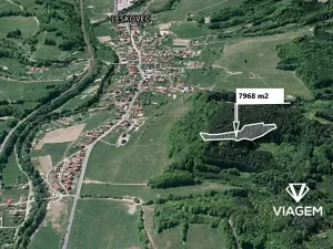 Prodej lesa, Leskovec, 7968 m2