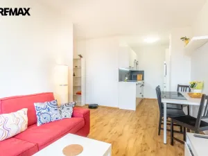 Prodej bytu 2+kk, Praha - Chodov, Brandlova, 45 m2