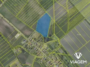 Prodej podílu pole, Horka I, 8080 m2