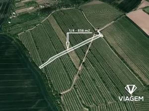Prodej podílu pole, Boršice, 856 m2