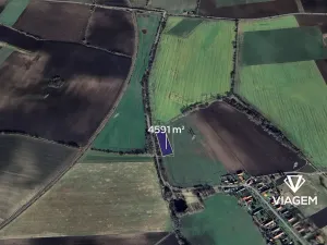 Prodej podílu pole, Pňov-Předhradí, 1912 m2