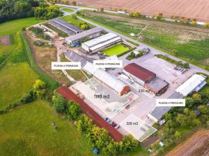 Pronájem pozemku, Zámrsk - Nová Ves, 330 m2