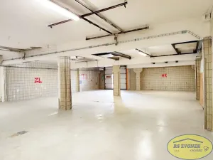 Pronájem výrobních prostor, Olomouc, Hamerská, 220 m2