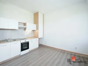 Pronájem bytu 2+kk, Mlékojedy, 50 m2