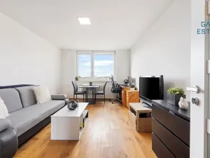 Prodej bytu 1+1, Brno, Novoměstská, 28 m2