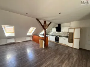 Pronájem bytu 3+kk, Teplice - Trnovany, Thámova, 95 m2