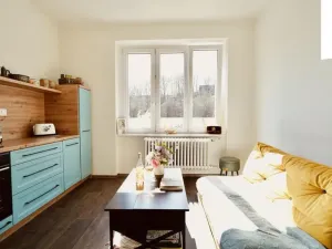 Prodej bytu 2+kk, Praha - Karlín, Sokolovská, 47 m2