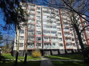Prodej bytu 1+1, Valašské Meziříčí, Havlíčkova, 31 m2
