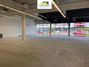 Pronájem obchodního prostoru, České Budějovice - České Budějovice 2, České Vrbné, 477 m2