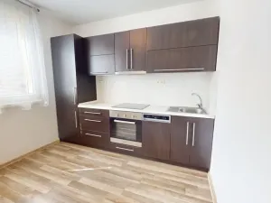 Pronájem rodinného domu, Ostrava - Mariánské Hory, Korunní, 37 m2