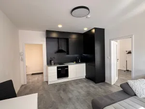 Pronájem bytu 2+kk, Opava, Otická, 50 m2