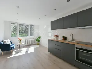 Prodej bytu 2+kk, Praha - Krč, Hurbanova, 39 m2