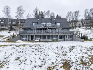 Prodej bytu 2+kk, Říčky v Orlických horách, 59 m2