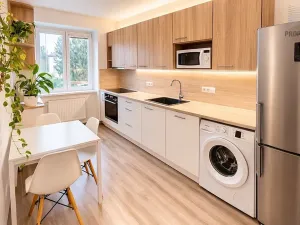 Pronájem bytu 2+1, Brno, Renneská třída, 56 m2