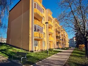 Prodej bytu 1+1, Uherský Brod, Partyzánů, 43 m2
