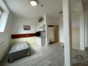 Pronájem bytu 1+kk, Praha - Žižkov, Prokopova, 24 m2