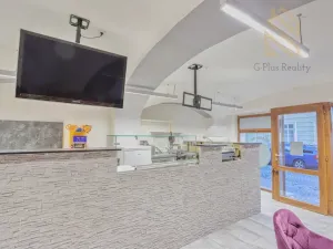 Pronájem obchodního prostoru, Louny, Pivovarská, 55 m2