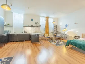 Pronájem bytu 1+kk, Praha - Vinohrady, Mánesova, 53 m2