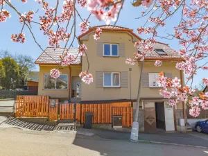 Prodej rodinného domu, Klatovy - Klatovy IV, Maškova, 300 m2