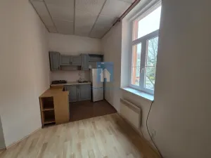Pronájem bytu 1+kk, Plzeň, Rokycanská, 30 m2