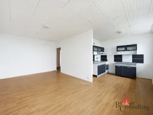 Prodej bytu 4+kk, Litvínov - Janov, Luční, 85 m2