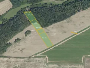 Prodej pole, Vyšehořovice, 19741 m2