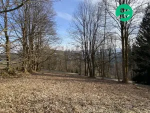 Prodej pozemku pro bydlení, Albrechtice v Jizerských horách, 1024 m2