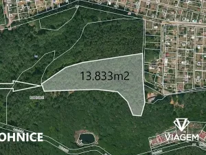 Prodej lesa, Praha - Bohnice, 13833 m2