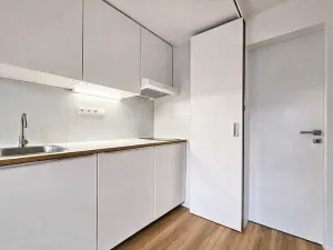 Pronájem bytu 1+kk, Praha - Holešovice, Na Maninách, 22 m2