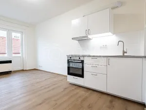 Pronájem bytu 1+kk, Praha - Nusle, V Horkách, 22 m2