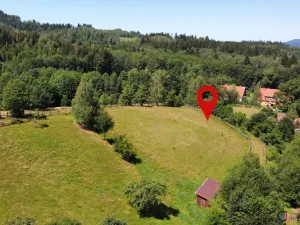 Prodej pozemku pro bydlení, Olešnice v Orlických horách, 3728 m2
