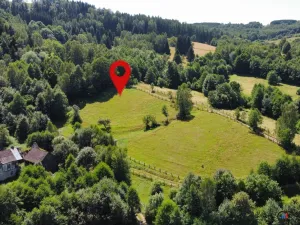 Prodej pozemku pro bydlení, Olešnice v Orlických horách, 4589 m2