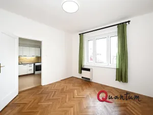 Pronájem bytu 1+1, Praha - Podolí, Výchozí, 38 m2