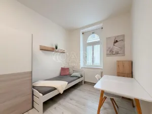 Pronájem pokoje, České Budějovice - České Budějovice 6, Jeronýmova, 18 m2